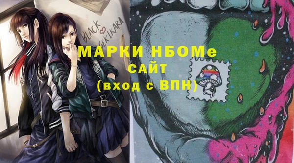 индика Вязники