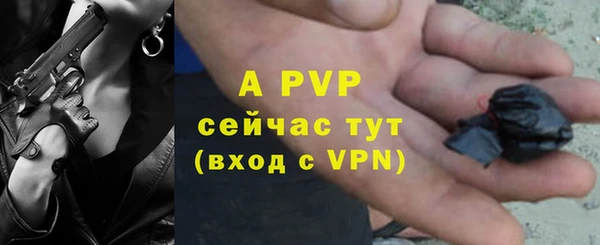 прущие крисы Вязьма