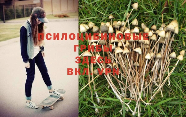 mix Вяземский