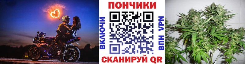 закладки сайты даркнета Telegram блэк спрут ссылка Шишки марихуана семена Плёс
